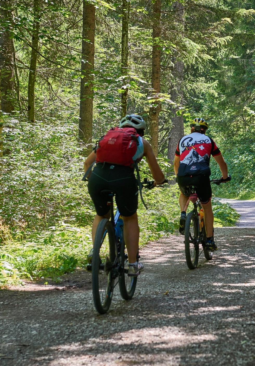 Donnerstagstipp:
Von der Aggenstein Wandertour bis zur "Alten Gaichtpass" Radtour