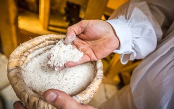 Mill and bakery tour