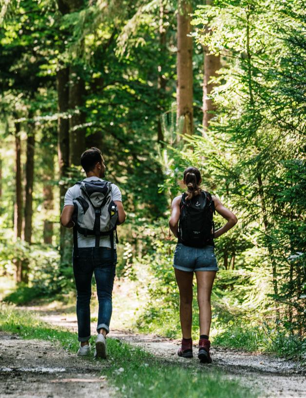 Urlaub in der Natur - Beim Wartner