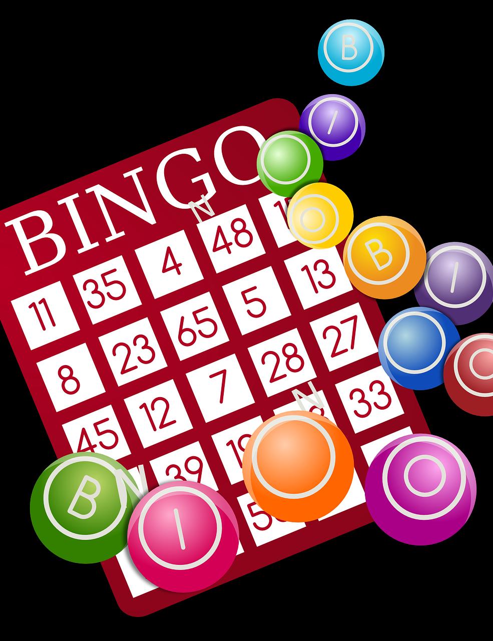Family: Bingo-Time