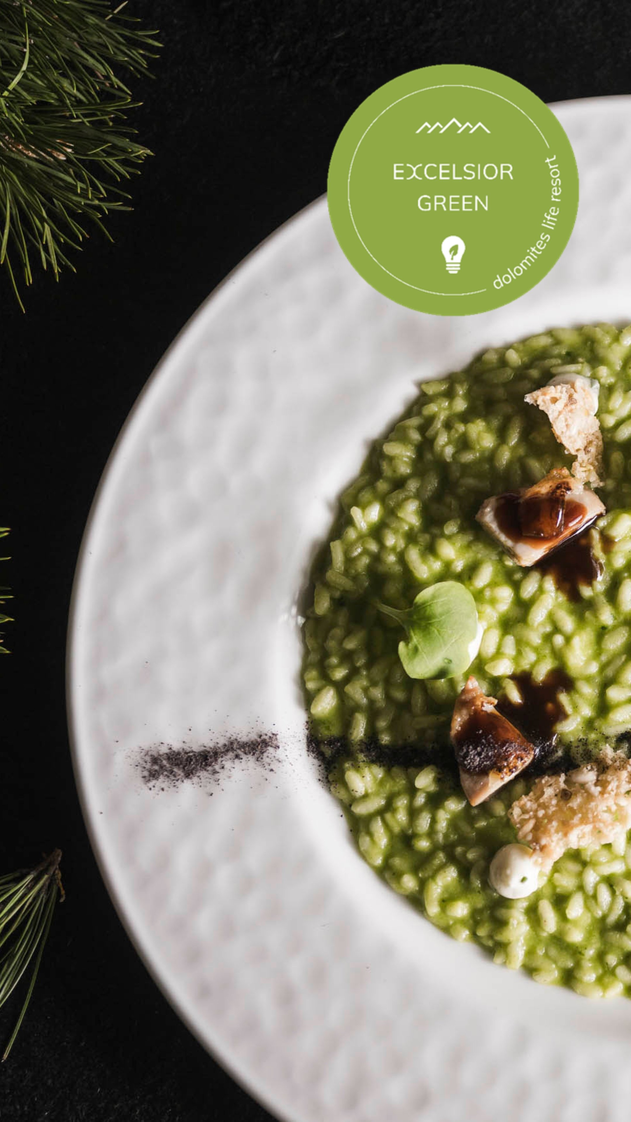 MYGREEN Dinner