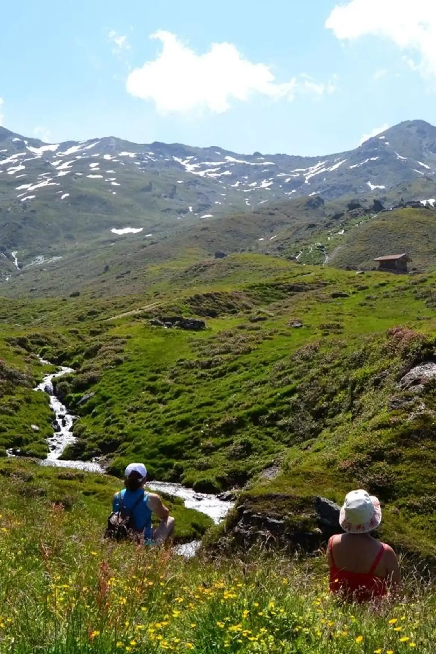 Alpine Pasture Excursion with a Hike to the Arztaler Alm in Ellbögen