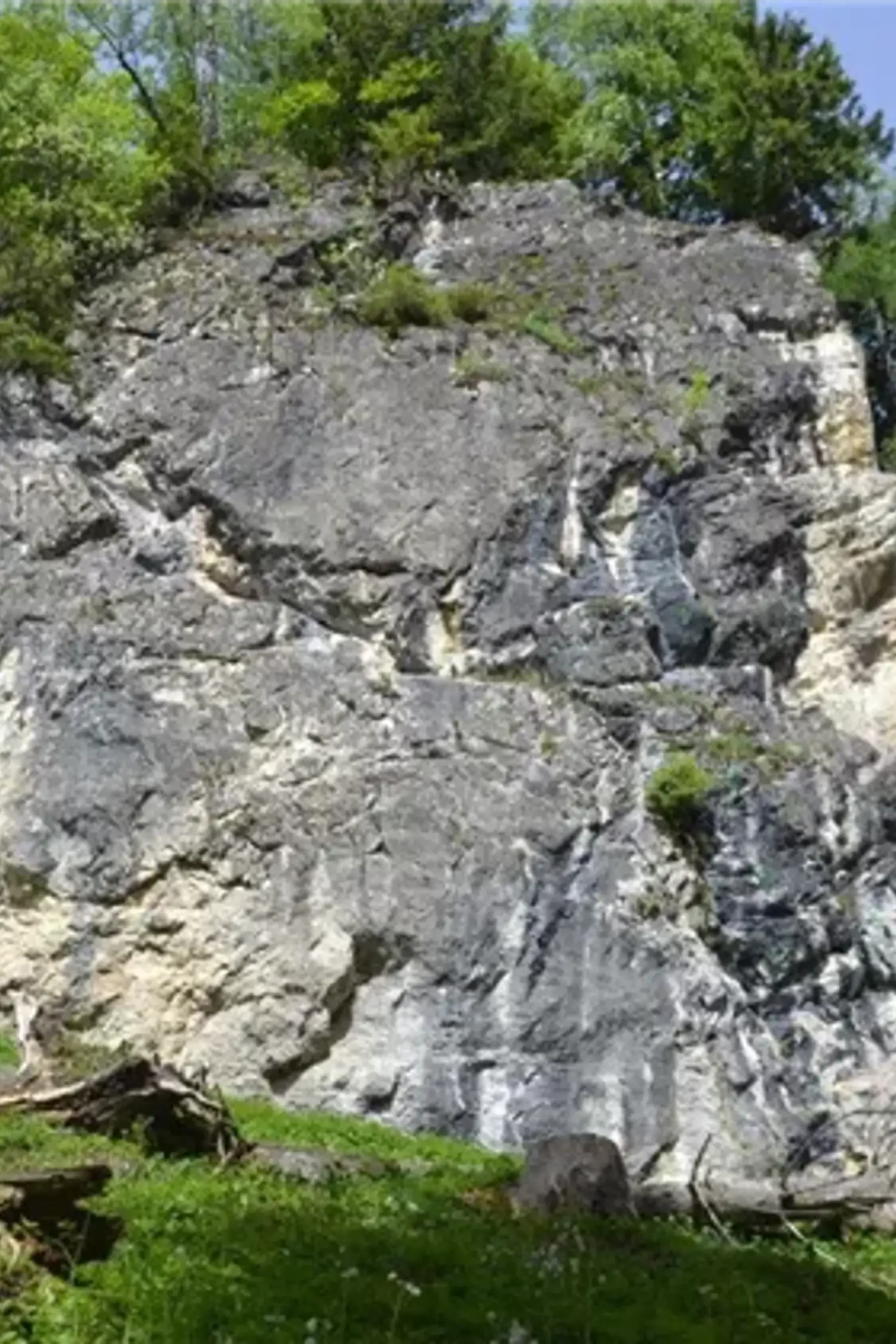 BERG-GESUND Rock Climbing Introductory Session