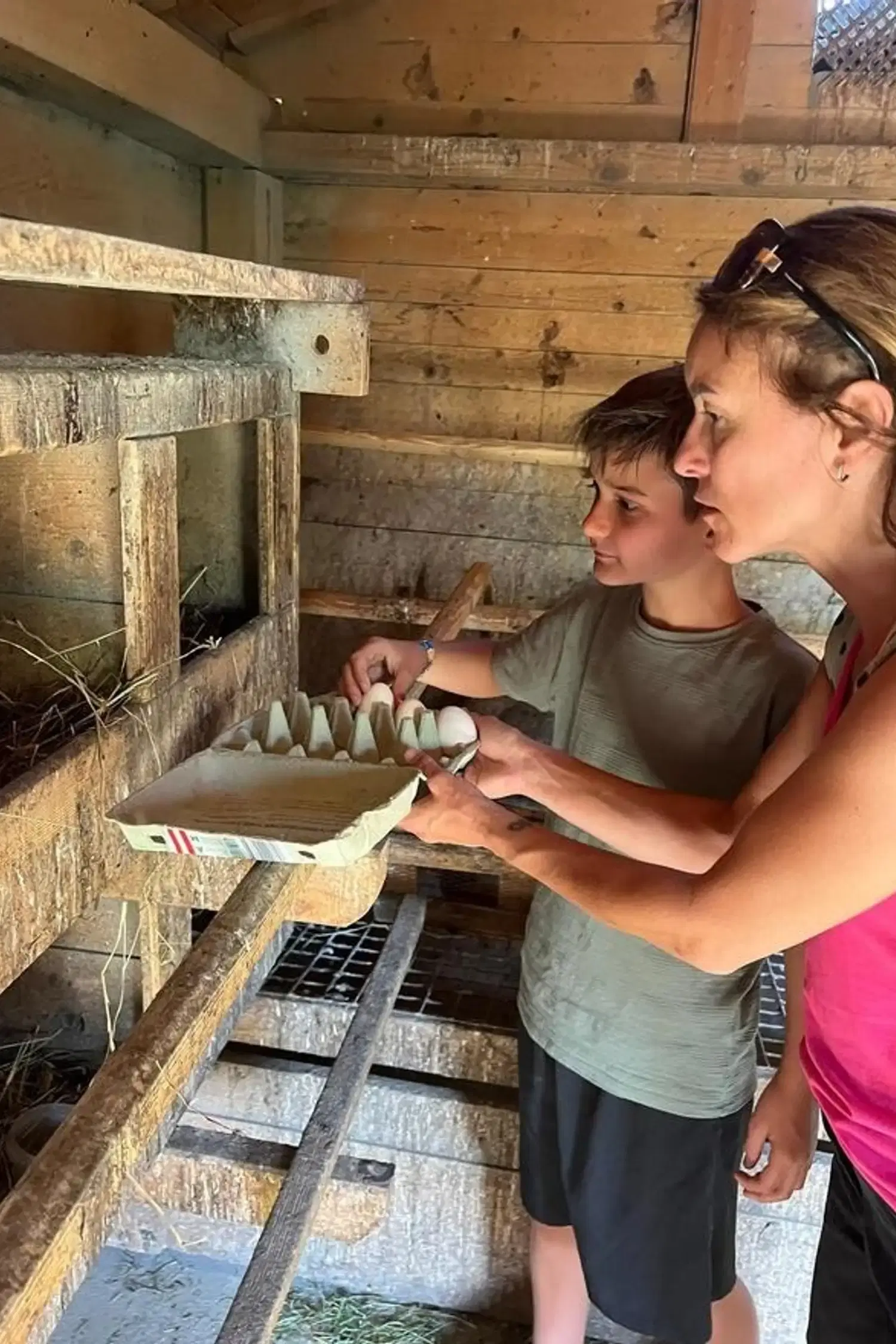 Farm Tour for Children and Families in Mutters