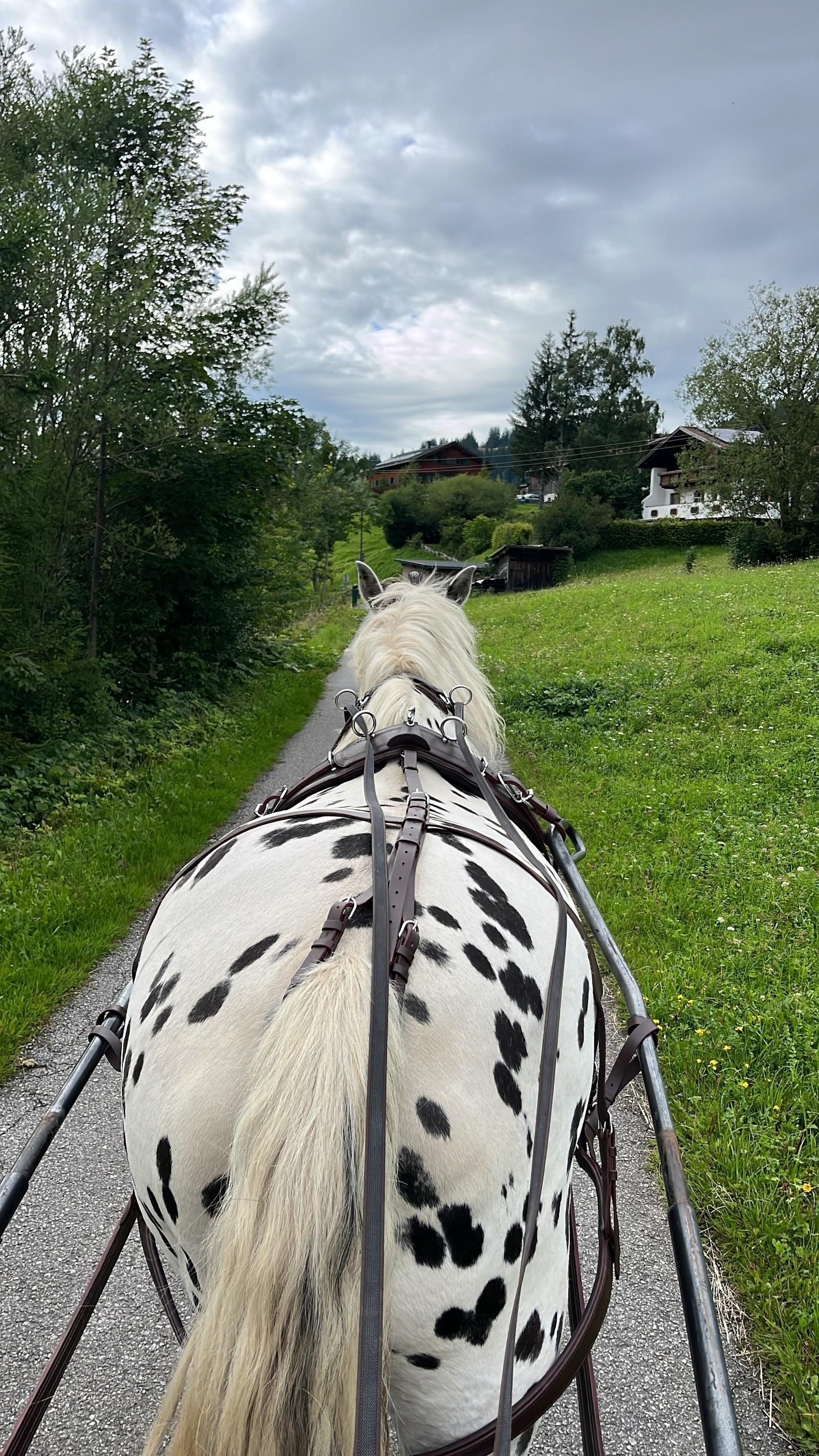 Tête-à-Tête
auf dem Jagdwagen – Romantik pur