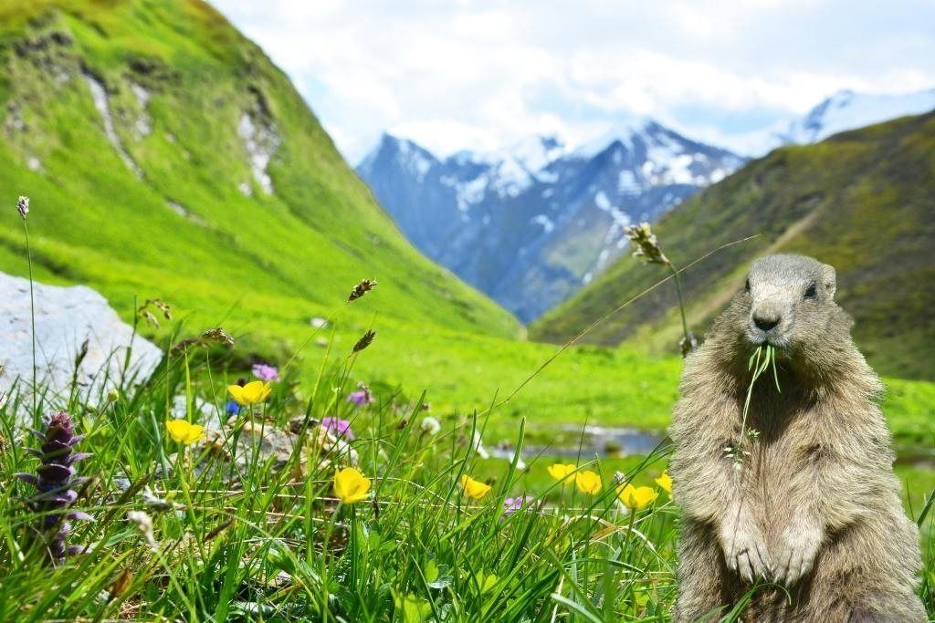 Weitental: Tal der Idylle und Blumenpracht