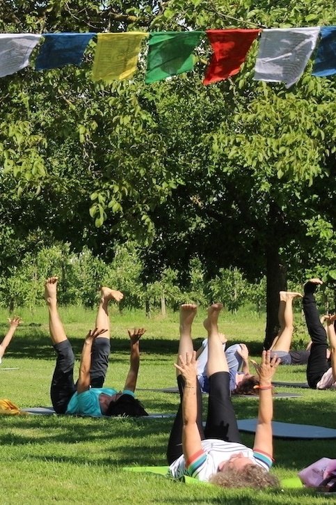 Yoga Basics - Kraft & Mitte