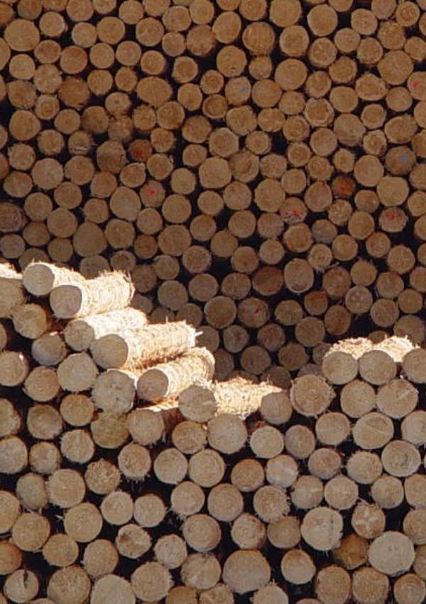 Wood Experience World "FeuerWerk