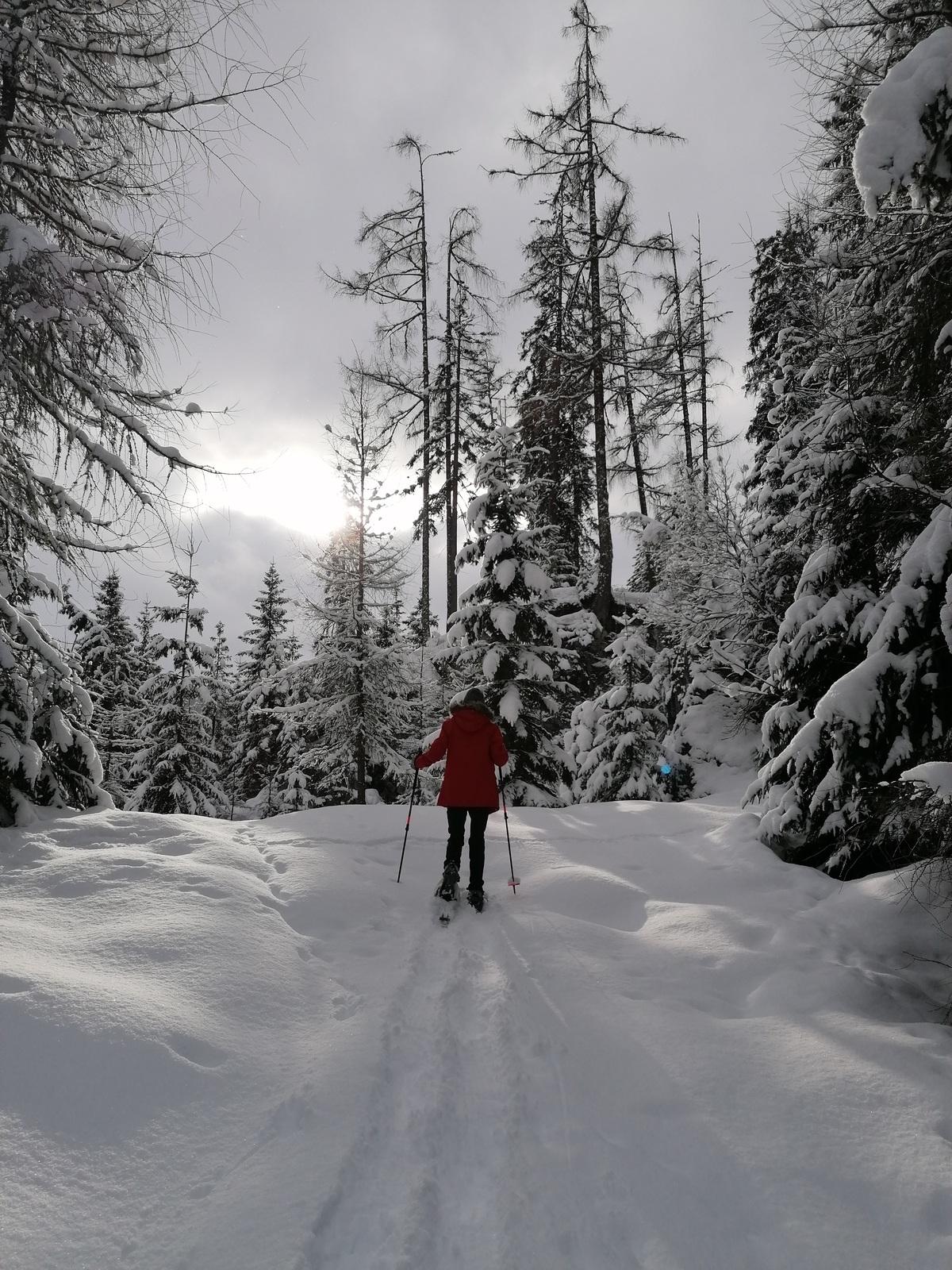 Connoisseur snowshoe tour - circular hike with magnificent valley and mountain views.