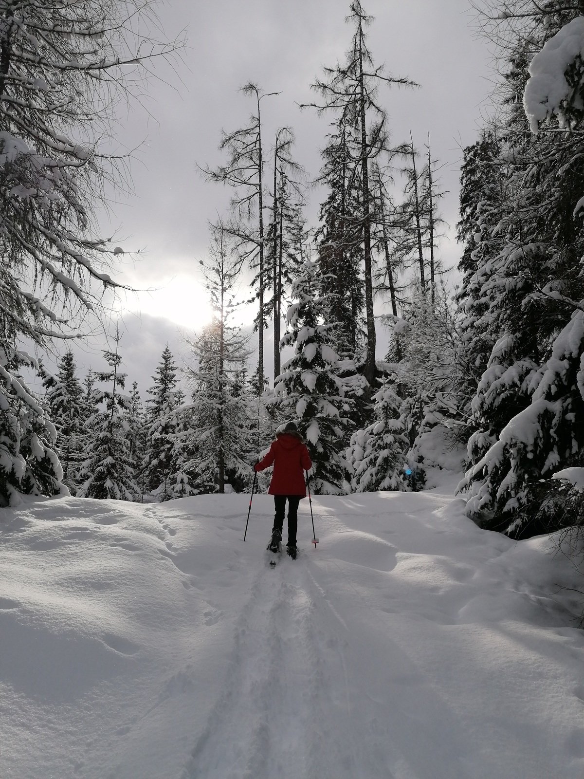 Connoisseur snowshoe tour - circular hike with magnificent valley and mountain views.