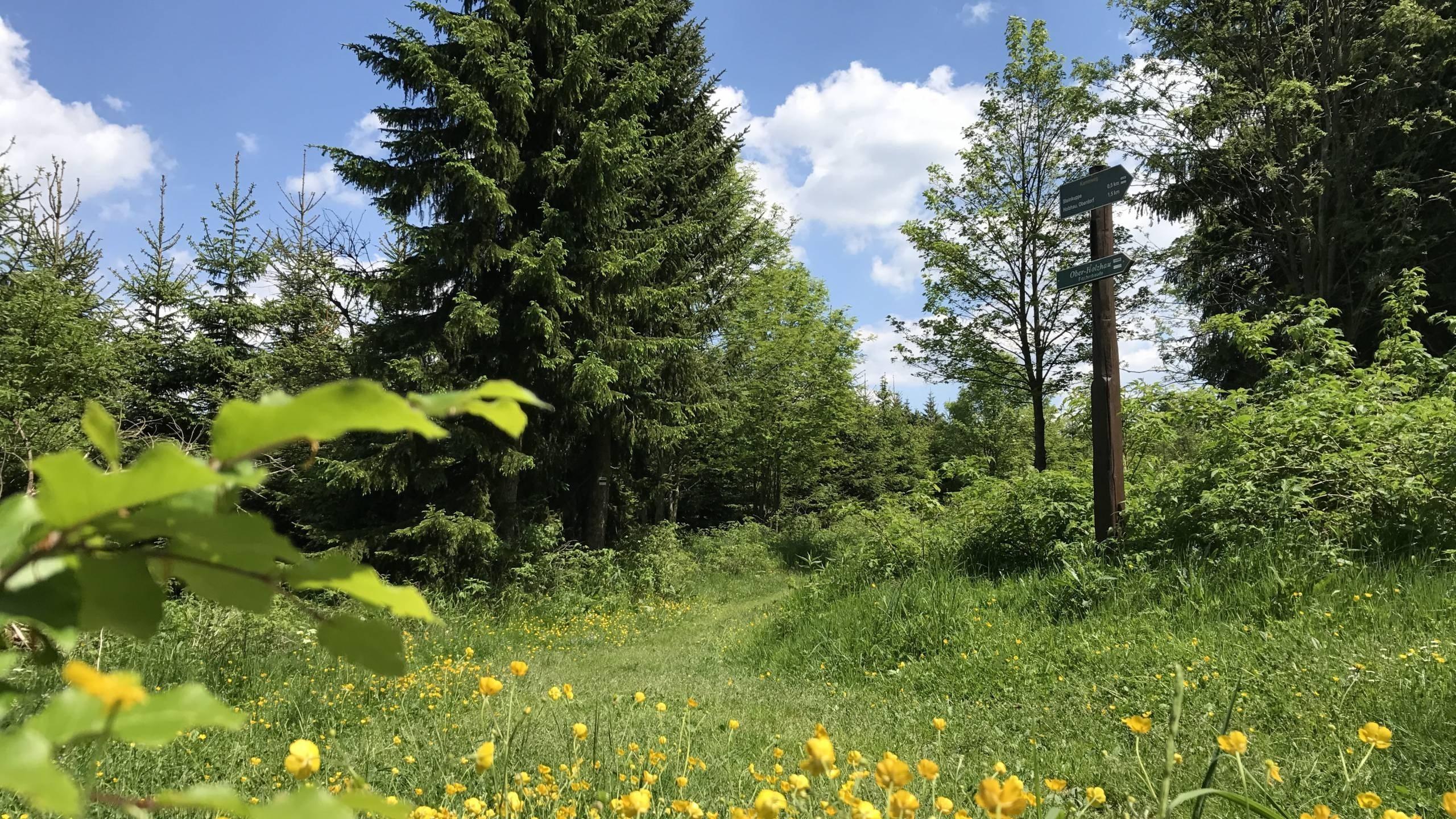 Hiking weeks in the Ore Mountains