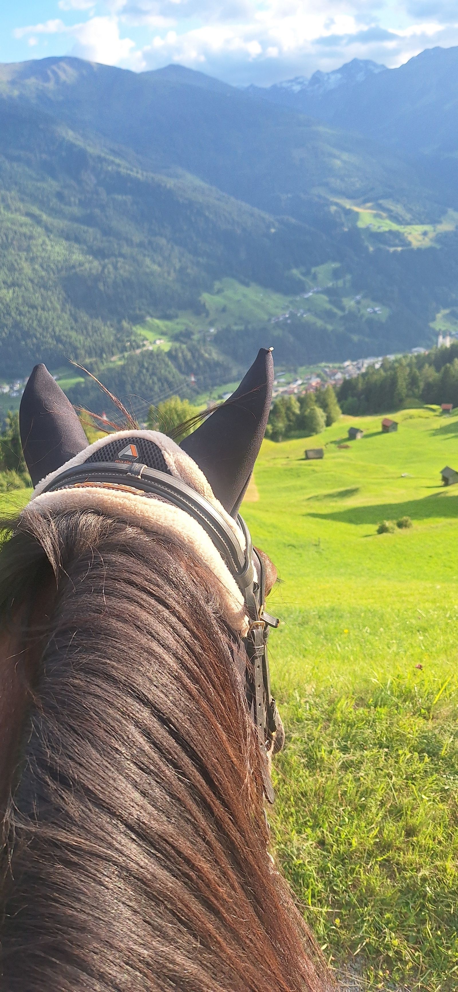 Pony - Verwöhnprogramm