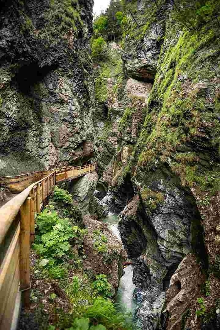 Gorge tour - guided