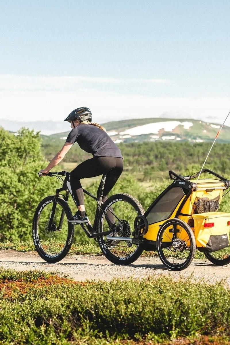 Rimorchi per biciclette elettriche