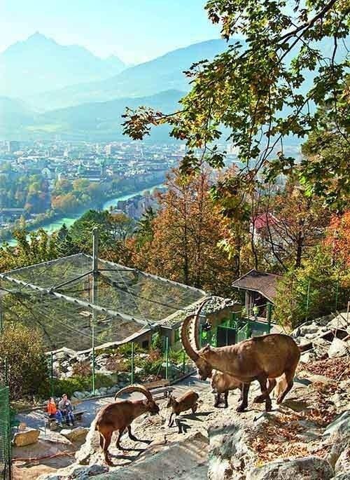 Alpenzoo Innsbruck