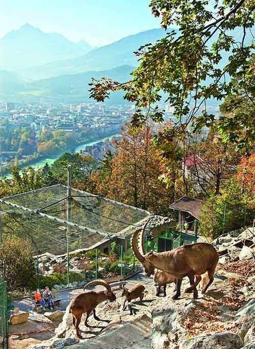 Alpenzoo Innsbruck