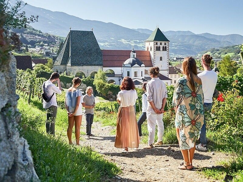 Weinbergführung mit Verkostung – Entdecke 900 Jahre Weinkultur