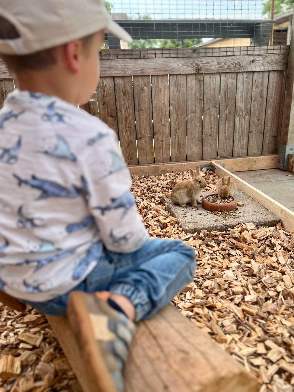 tierischer Leitfaden