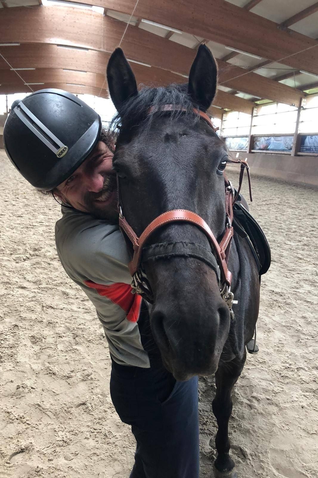 Family pony fun & horse adventures