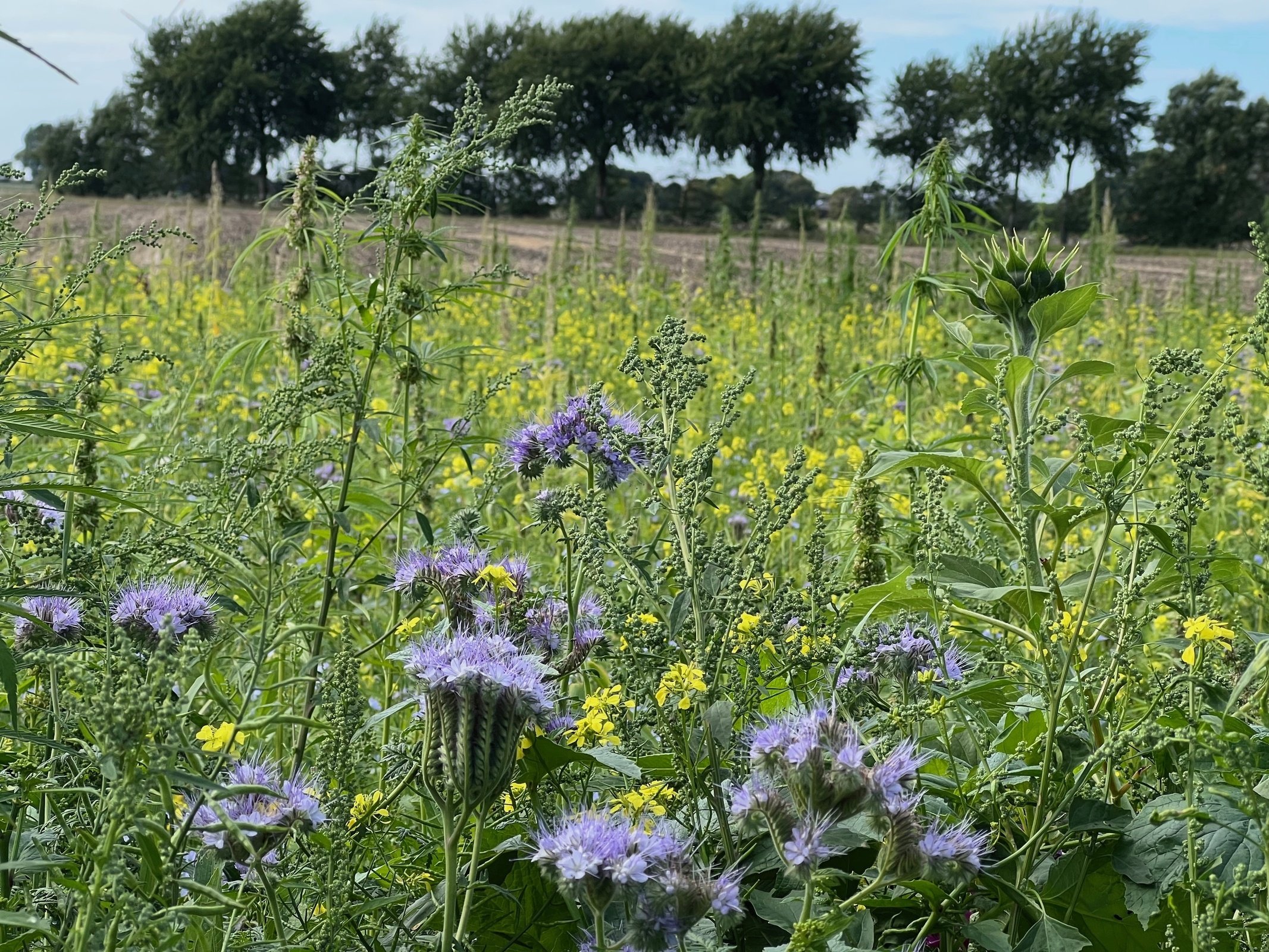 Nachhaltigkeit
erleben