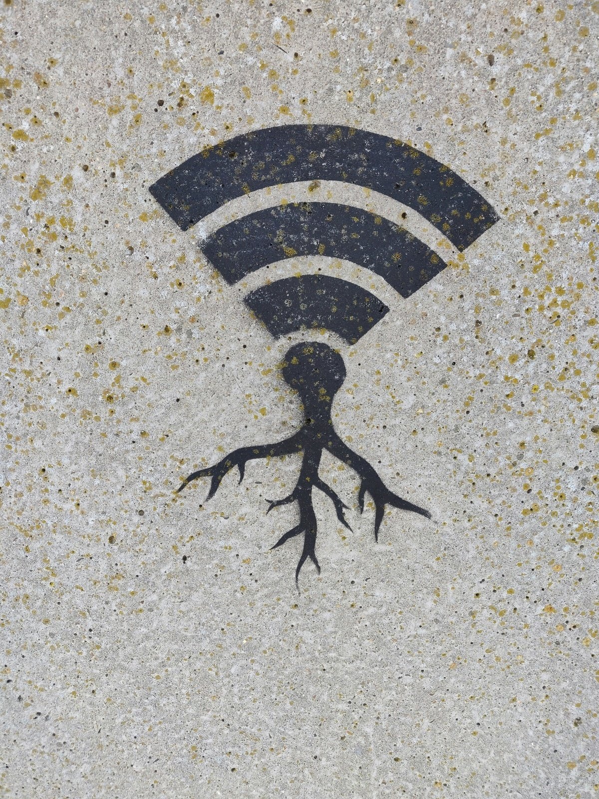 WLAN