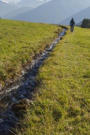 MUTA DI MALLES: L’IRRIGAZIONE TRADIZIONALE DEI PRATI E GLI UCCELLI NIDIFICANTI A TERRA