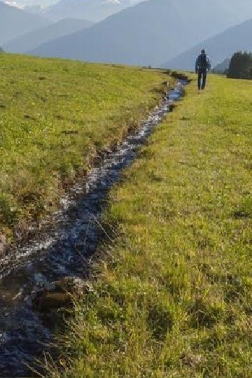 MUTA DI MALLES: L’IRRIGAZIONE TRADIZIONALE DEI PRATI E GLI UCCELLI NIDIFICANTI A TERRA