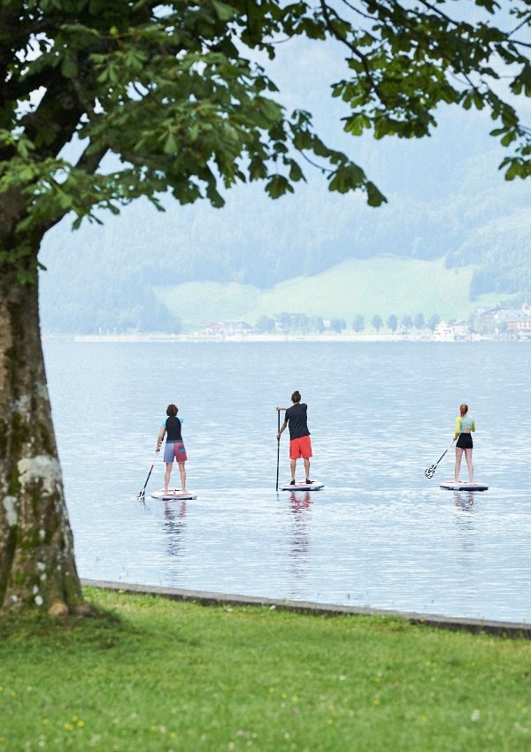 Stand Up Paddling