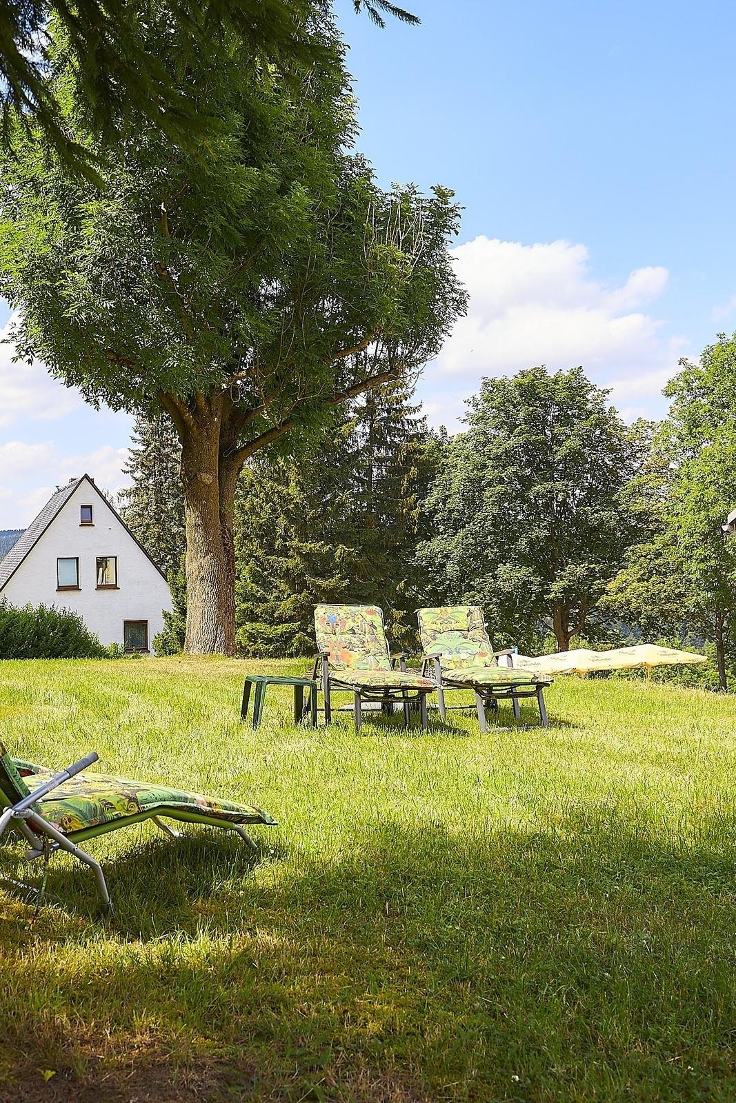 Wellness in the Ore Mountains - sauna stay & the tranquillity of nature