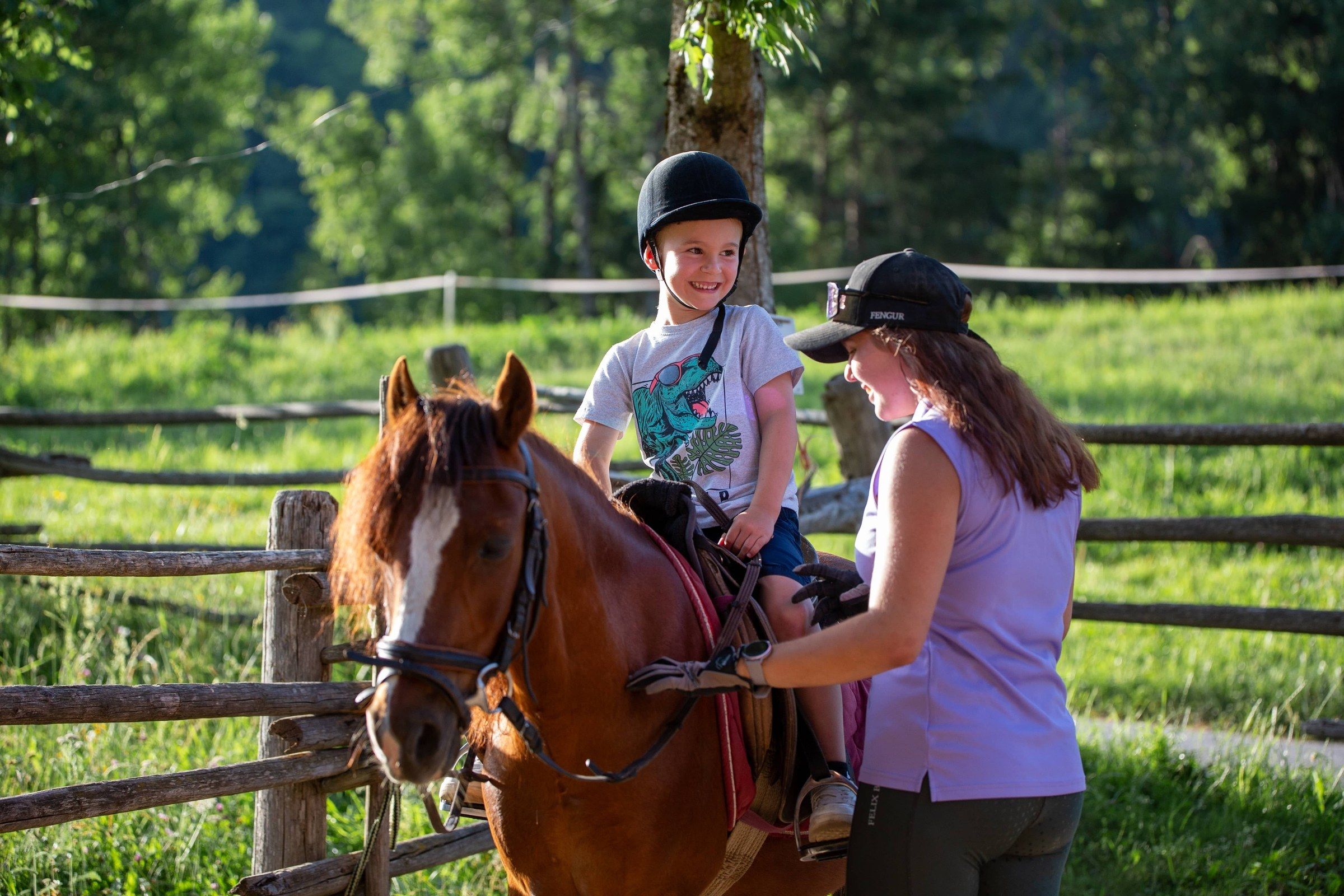 Alles rund ums Pony