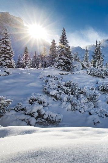Silbertaler Waldschule im Winter erleben
