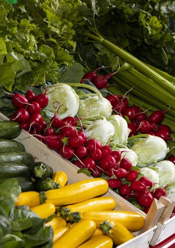 Vegetables by Josef and Bettina Posch