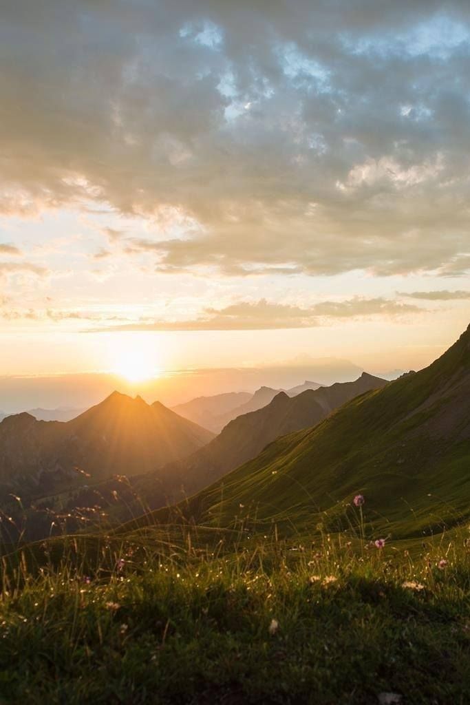 BERGaktiv Erlebniswanderung mit Käsereibesichtigung