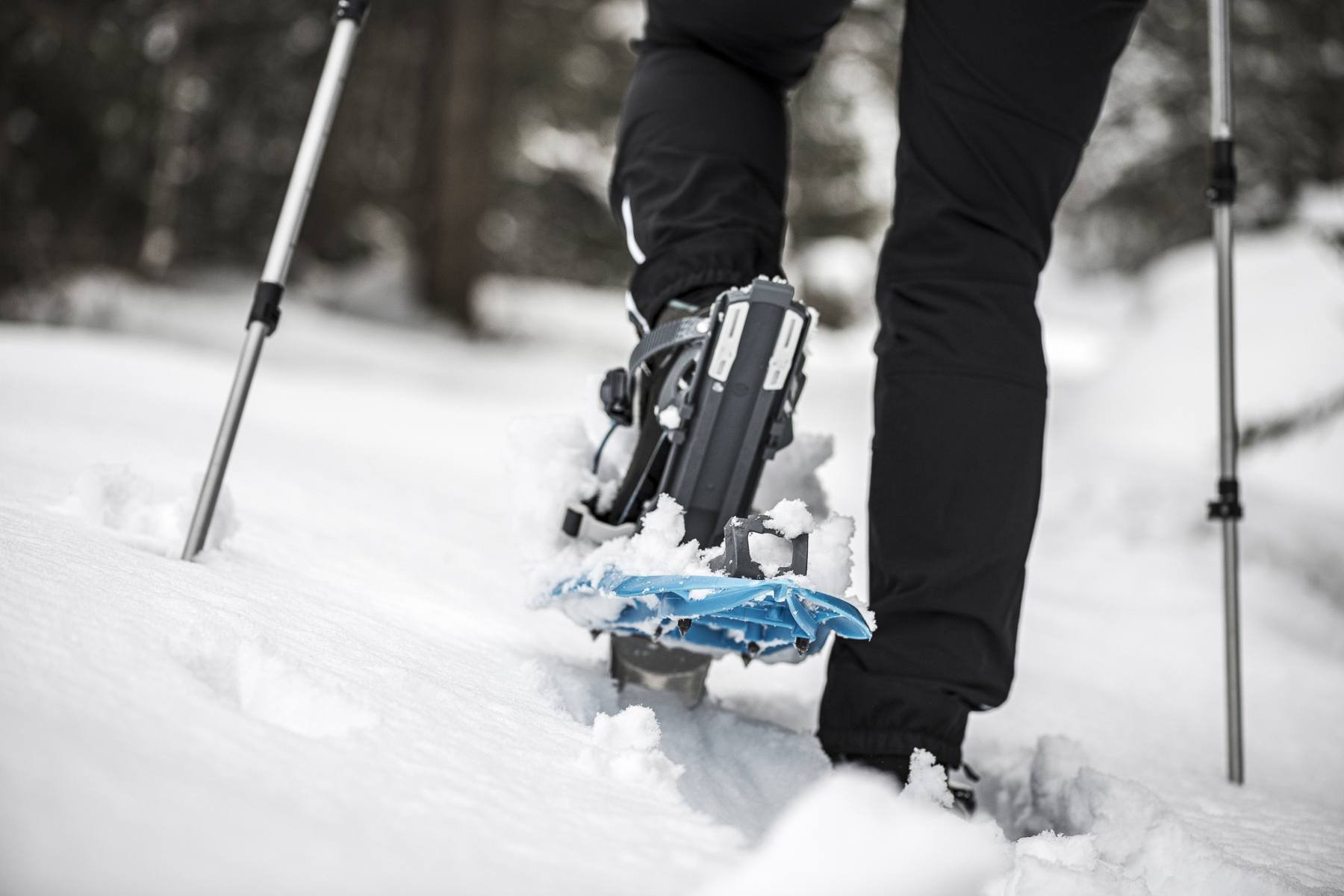 Geführte Schneeschuhwanderung
