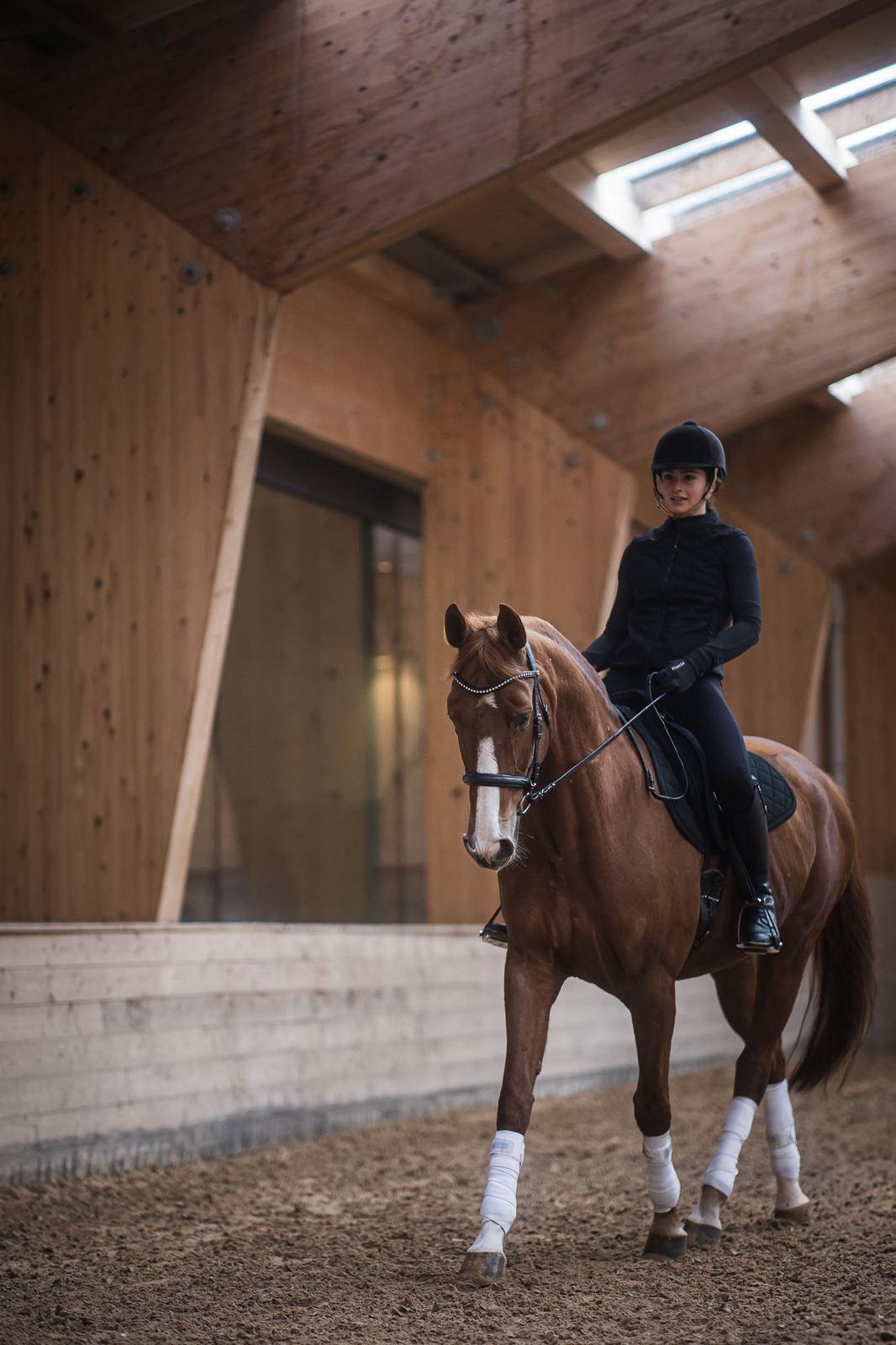 Lezione privata di equitazione