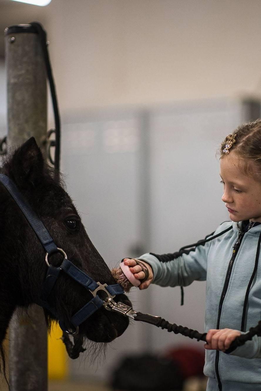 Avventura coni pony (da 2 anni)