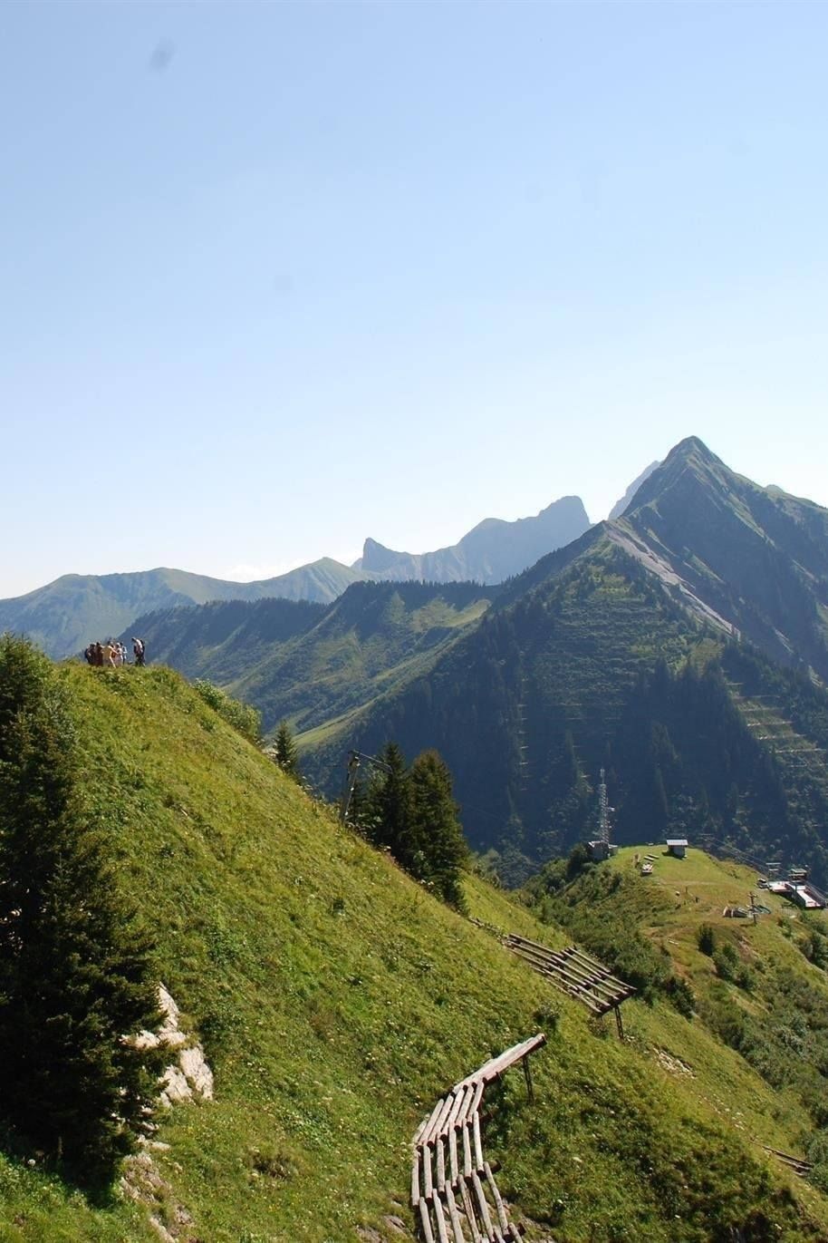 BERGaktiv unterwegs auf dem Blumen-Wanderlehrpfad
