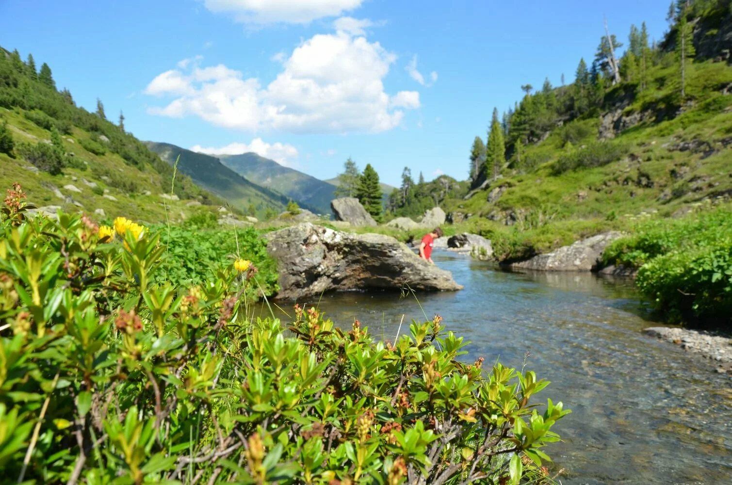 *Familienwanderung mit Kaltwasser baden !