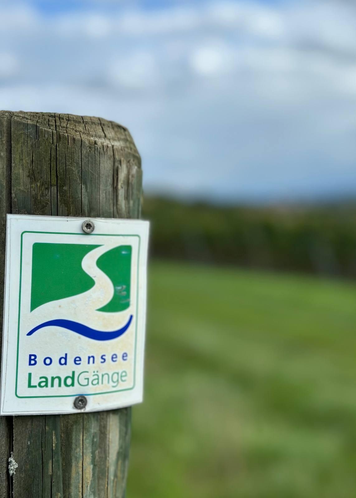 Premiumwanderweg Bermatinger Waldwiesen