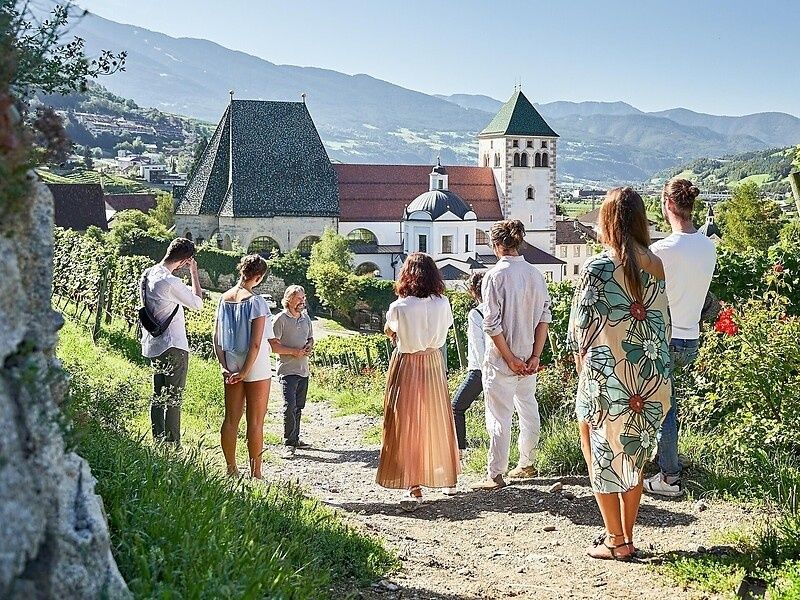 Weinbergführung mit Verkostung – Entdecke 900 Jahre Weinkultur
