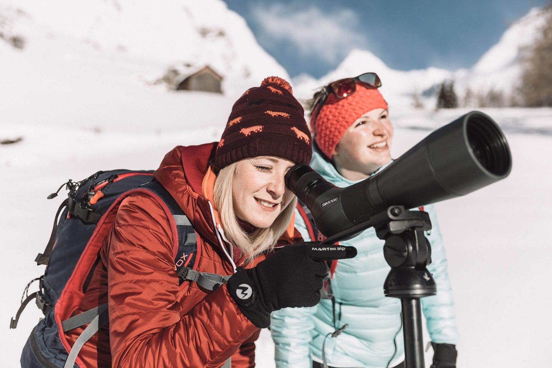WILDE ÜBERLEBENSKÜNSTLER in Kals am Großglockner