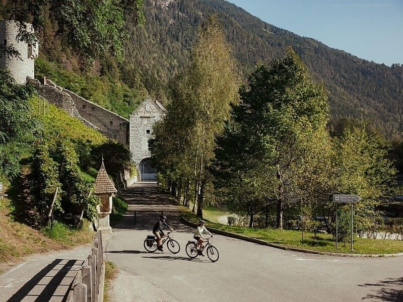 Südtiroler Almblüte: Bike & Käse