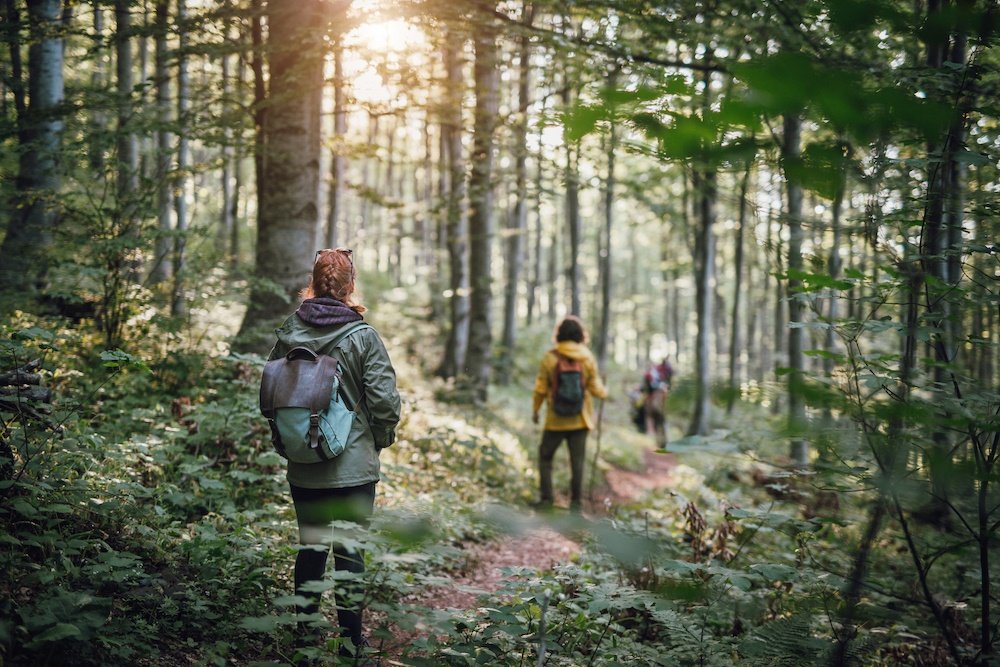 🌿 Hiking with purpose - combining nature & focus