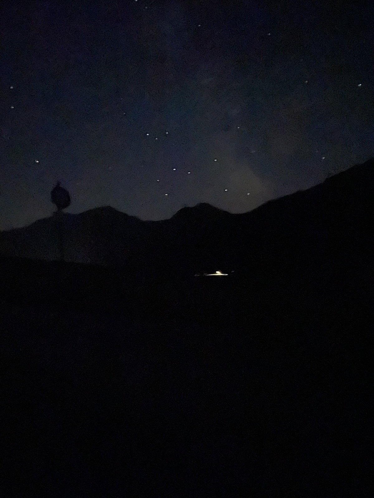 Digestif unter den Sternen🌜