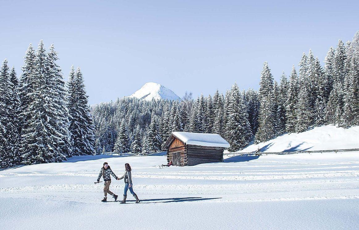 Info about the guided hikes