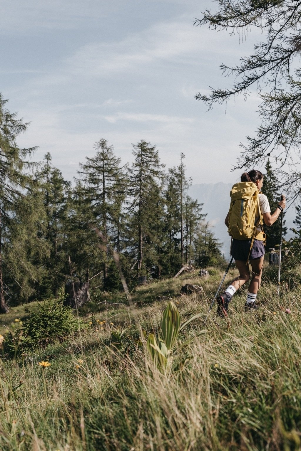 WANDERBUS Herbie | Alpine pasture hike