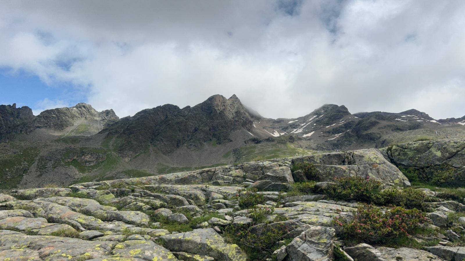 Wanderung | Arthur Hartdegen Weg*
