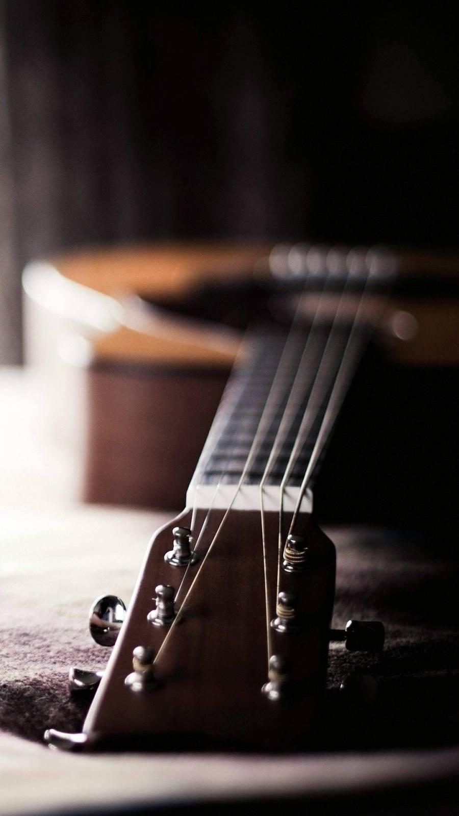 MUSICA DAL VIVO