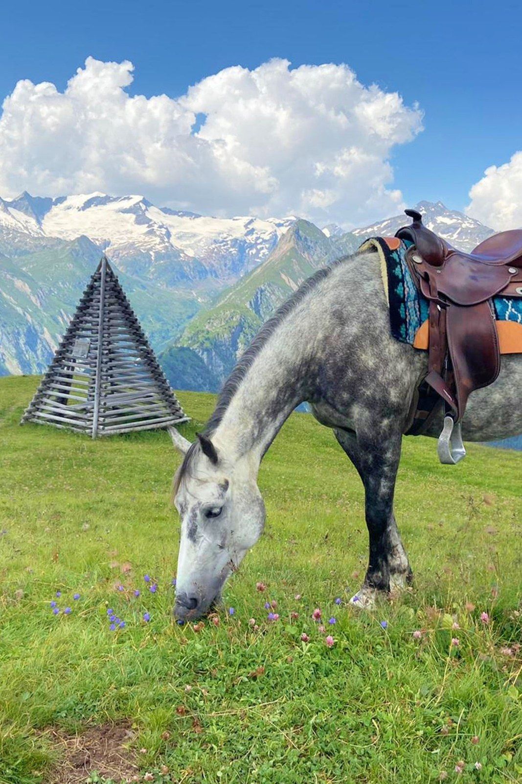 MUHS-PANORAMAWEG: in the saddle at 2,300 m
