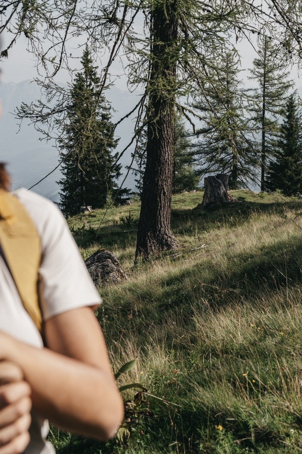 Guided hike